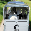 Van Touring One 1,5 Place Cheval Liberté – Image 2