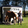 Van Touring One 1,5 Place Cheval Liberté – Image 5